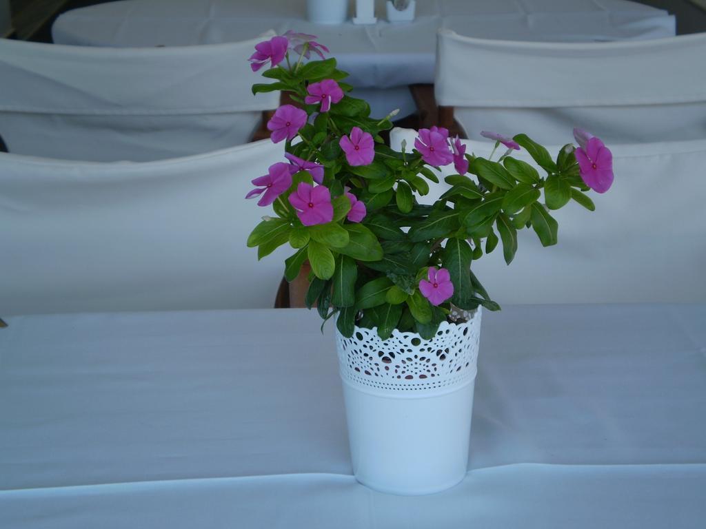 Athena Hotel Milopotamos  Dış mekan fotoğraf