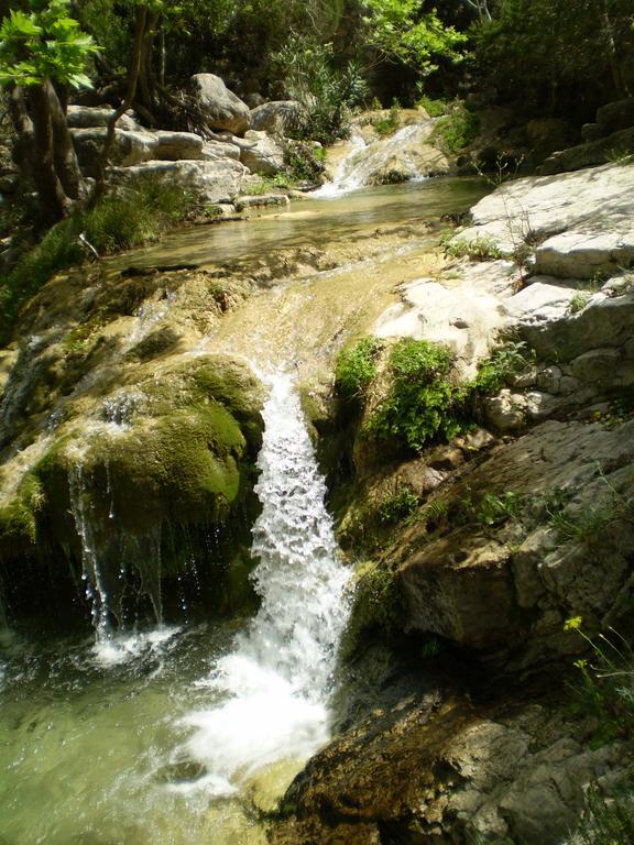 Athena Hotel Milopotamos  Dış mekan fotoğraf